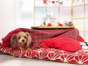 体にやさしく、家計にもやさしい、秀建の分譲建売一戸建て【海老名市 綾瀬市 新築分譲 住宅コラムver.166】