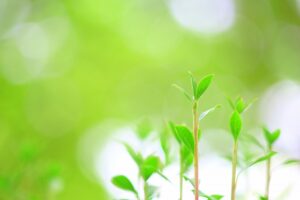 自然を感じられるおうち【海老名市 綾瀬市 新築分譲 住宅コラムver.220】