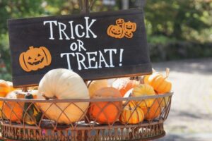 ～住まい探しハロウィンフェスタ～【海老名市 綾瀬市 新築分譲 住宅コラムver.470】