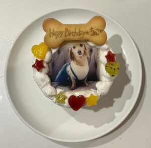 愛犬「ちょこ」のお誕生日