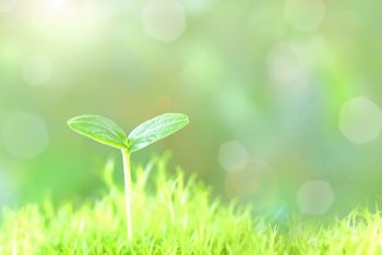 【海老名市分譲コラムver.36】発展していく街、海老名