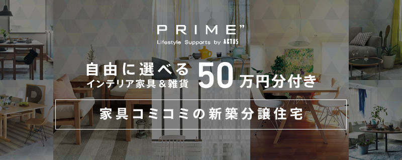 家具コミコミの新築分譲住宅