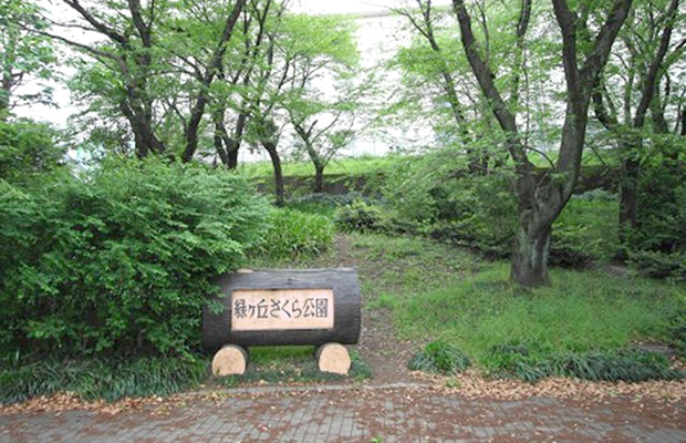 公園