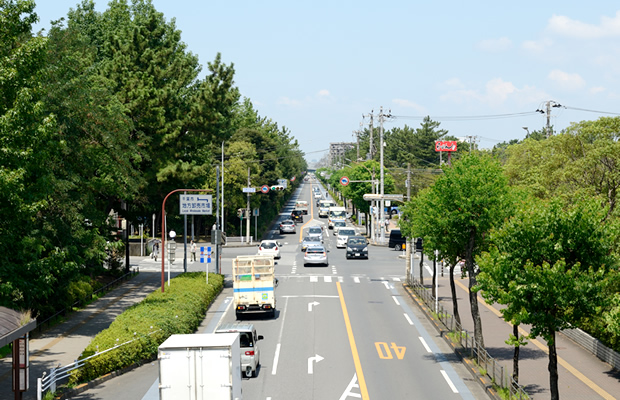 道路交通量